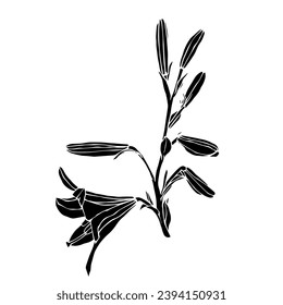 Silhouette of a flower, lily bud. Decorative botanical element. Vector graphics.