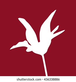 Silhouette of flower on red background