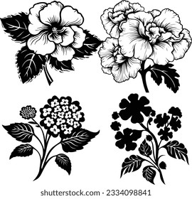 Imagen vectorial de la planta de flores de silueta y fondo blanco