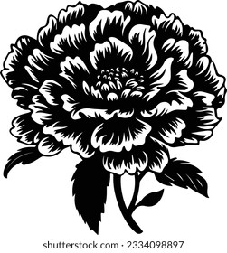 Silhouette flower plant vector image and white background