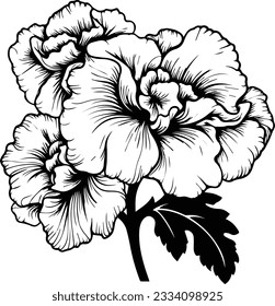 Silhouette flower plant vector image and white background