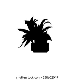 Silhouette of a flower in a pot. Vector 