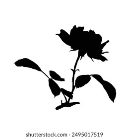 Silhouette Blumen-Vektorgrafiken und weißer Hintergrund