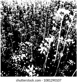 Silhouette of a flowering meadow. Close-up. Vector isolated illustration. Black color, transparent background.