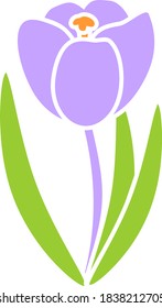 Silhouette of flowering purple crocus with green leaves