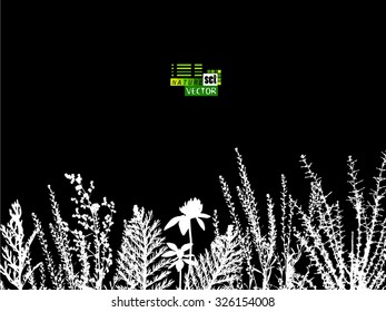 Silhouette flowers grass. Vector