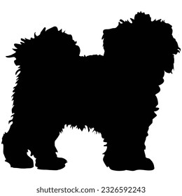 Silhouette of a fluffy dog