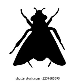 Silhouette of fly. Fly close-up detailed. Vector fly icon on white background.