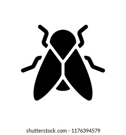 Silhouette of fly. Insect, nature icon. Black on white background