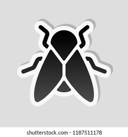 Silhouette of fly. Insect, nature icon. Sticker style with white border and simple shadow on gray background