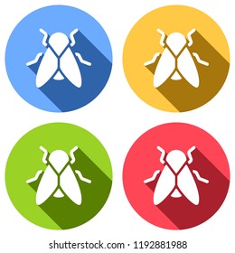 Silhouette of fly. Insect, nature icon. Set of white icons with long shadow on blue, orange, green and red colored circles. Sticker style