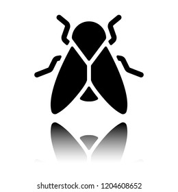 Silhouette of fly. Insect, nature icon. Black icon with mirror reflection on white background
