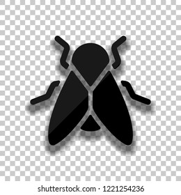 Silhouette of fly. Insect, nature icon. Black glass icon with soft shadow on transparent background