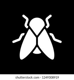 Silhouette of fly. Insect, nature icon. White icon on black background. Inversion