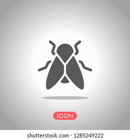 Silhouette of fly. Insect, nature icon. Icon under spotlight. Gray background