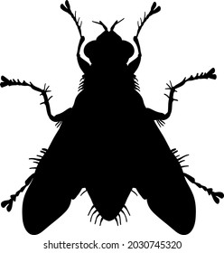 Silueta de insecto de mosca. Ilustración del vector
