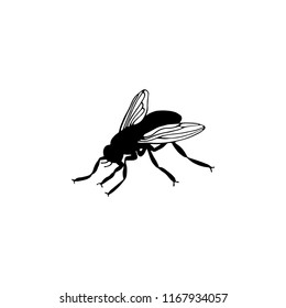 silhouette of a fly vector illustration