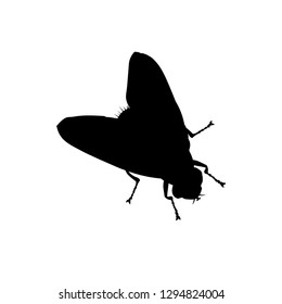 Silhouette of a fly. Vector illustration isolated on white background.