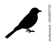 silhouette of a flycatcher bird on white