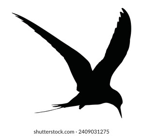 Silhouette of the flying Arctic tern. Black and white illustration. Vector.