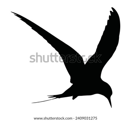 Silhouette of the flying Arctic tern. Black and white illustration. Vector.
