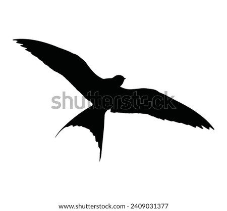 Silhouette of a flying Arctic tern. Graphic drawing. Vector illustration.