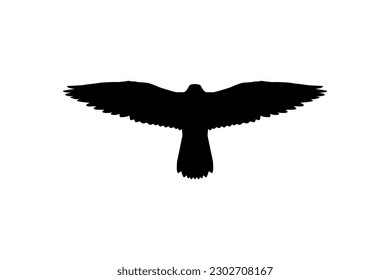 Silhouette of the Flying Bird of Prey, Falcon or Hawk, for Logo, Pictogram, Website, Art Illustration, or Graphic Design Element. Vector Illustration 