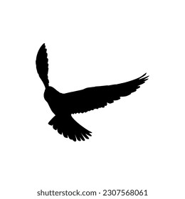 Silhouette of the Flying Bird of Prey, Falcon or Hawk, for Logo, Pictogram, Website, Art Illustration, or Graphic Design Element. Vector Illustration 