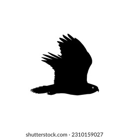 Silhouette of the Flying Bird of Prey, Falcon or Hawk, for Logo, Pictogram, Website, Art Illustration, or Graphic Design Element. Vector Illustration 