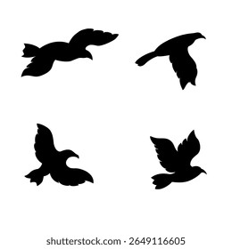 silhouette of flying bird with various movement positions