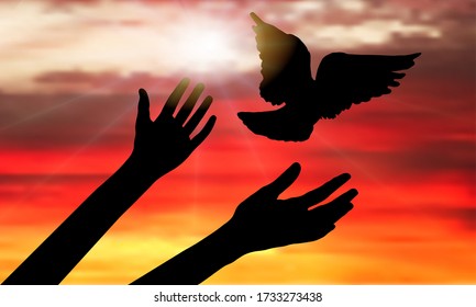 Silhouette of flying bird from woman's hands on background of sunset with rays of sun. Vector illustration