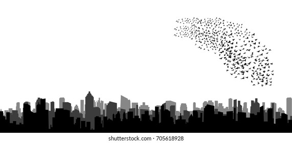 silhouette of flying birds, flock