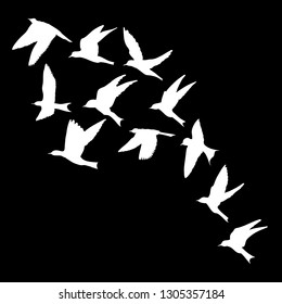 Silhouette of flying birds on black background. Inspirational body flash tattoo ink. Vector.