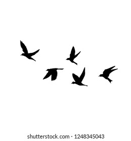 Vector Silhouette Flying Birds On White Stock Vector (Royalty Free ...