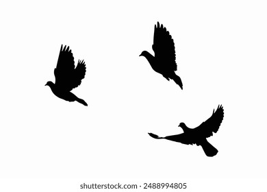 Silueta de pájaros voladores sobre fondo blanco Vector. Esténcil plano, alas, plumas, pájaro, camada, Vector fijo.