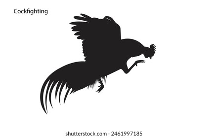 silhouette of flying cocks Native chicken fighter, vector, assembled