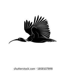 Silhouette of a flying crested ibis (Nipponia nippon). Black and white illustration. Vector.