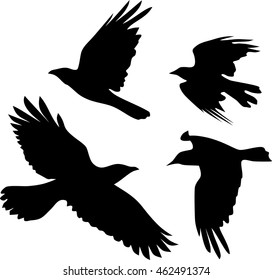 Silhouette of flying crow