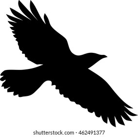 Silhouette of flying crow