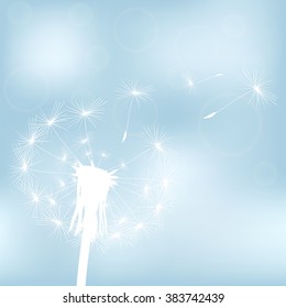 silhouette with flying dandelion buds