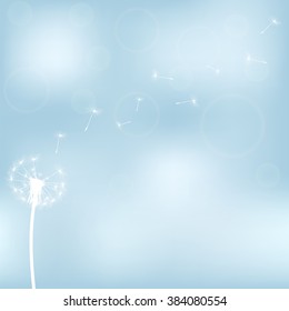 silhouette with flying dandelion buds