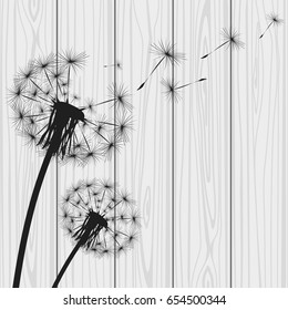 Silhouette with flying dandelion buds 