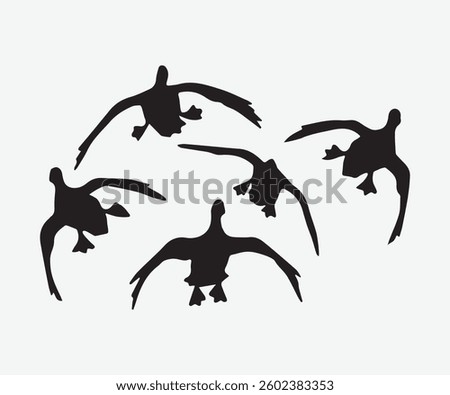 silhouette of flying ducks, vector illustration art