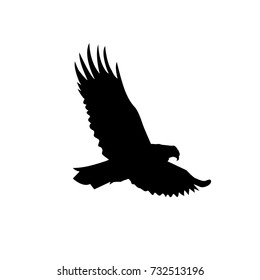 Silhouette of flying eagle.