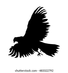 Silhouette of flying eagle. Dangerous.
