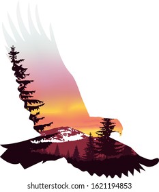 Silhouette of flying eagle  with double exposure of pine nature landscape.