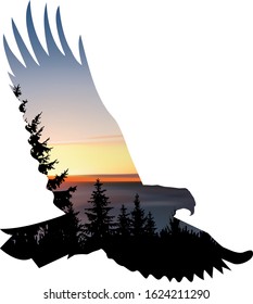 Silhouette of flying eagle with double exposure of wild nature. Sunset on sea with pine trees.