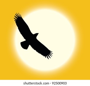 Silhouette of flying eagle on sun background
