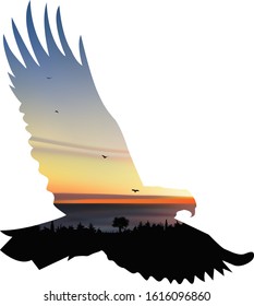 Silhouette of flying eagle with sunset on sea landscape.