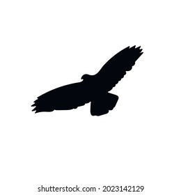 A silhouette of a flying eagle. Vector